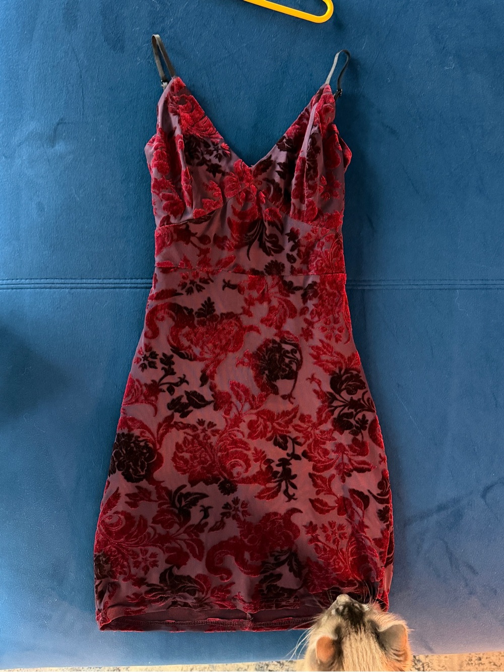 Windsor Red Floral Burnout  Velvet Mini Dress